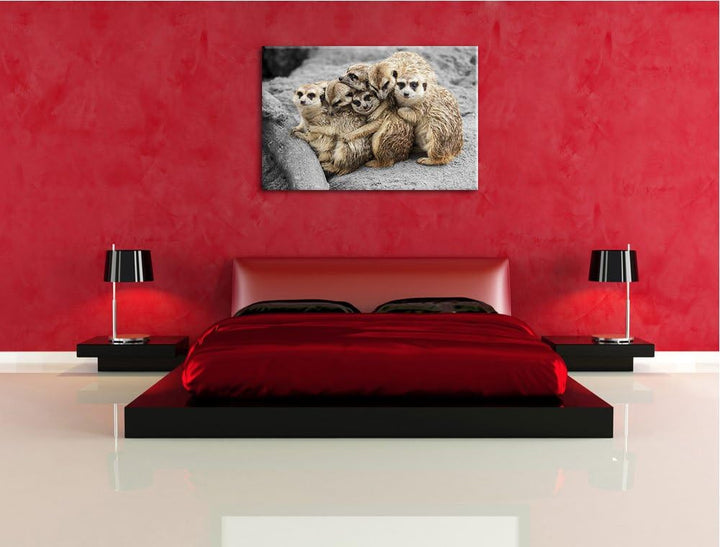 süsse Erdmännchen kuscheln schwarz/weiss Format: 100x70 auf Leinwand, XXL riesige Bilder fertig gera