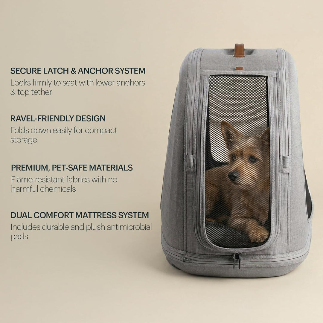 Tavo Crispin Haustier-Transportbox Large – Crash-getestete Auto-Transportbox für Hunde & Katzen, ISO