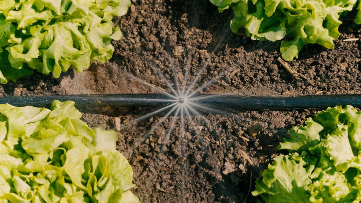 Gardena Micro-Drip-System Tropfbewässerung Set Gemüse-/Blumenbeet (60 m²): Starter-Set sofort einsat
