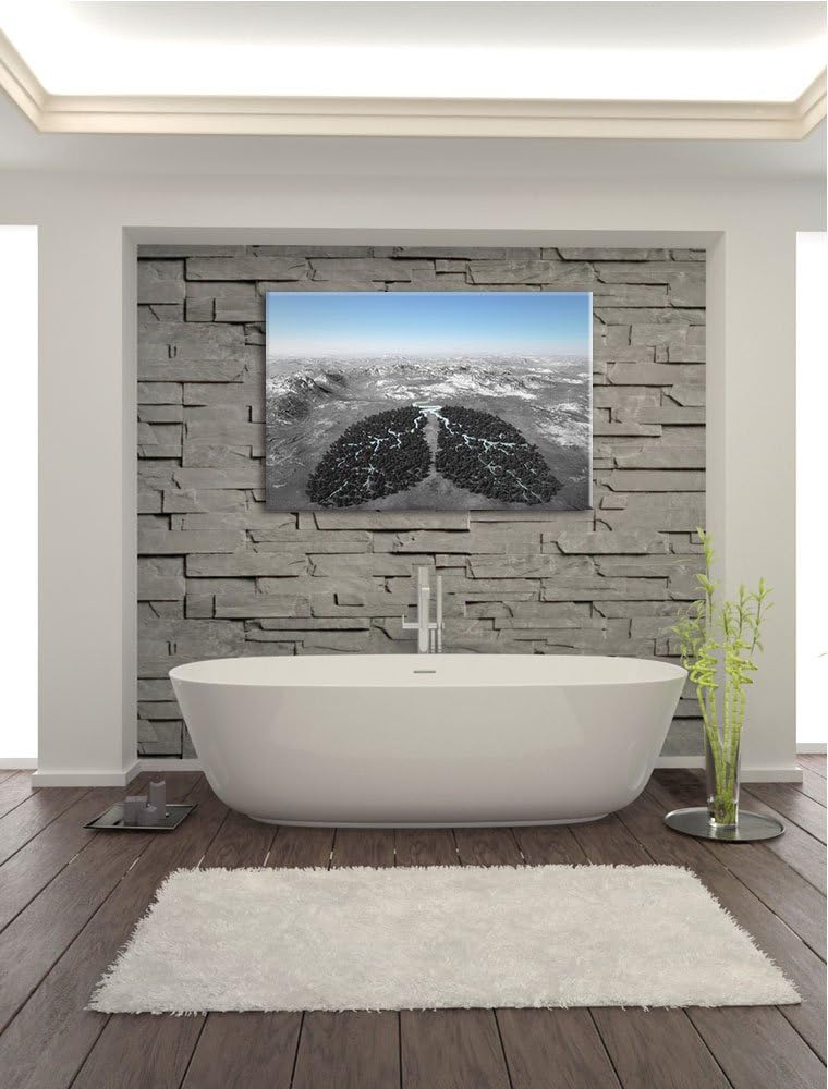 Lunge der Natur aus Bäumen schwarz/weiss Format: 100x70 auf Leinwand, XXL riesige Bilder fertig gera