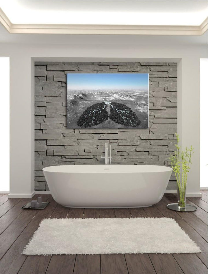 Lunge der Natur aus Bäumen schwarz/weiss Format: 100x70 auf Leinwand, XXL riesige Bilder fertig gera