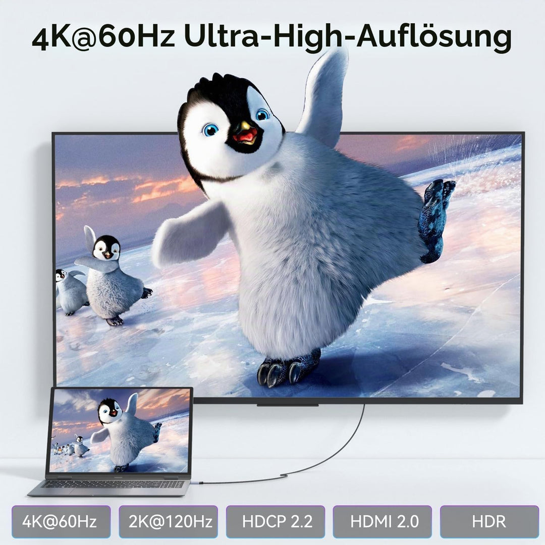 BENFEI HDMI auf USB C Kabel 1,8M 4K@60Hz, Unidirektionaler HDMI Computer zu USB-C Monitor Adapter fü