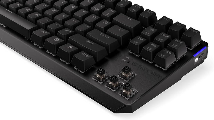 ENDORFY Thock TKL Wireless Black, TKL Wireless Mechanical Keyboard, QWERTY, Kailh Black switches, RG