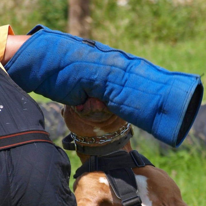 Dingo Gear Schutzarm Extern Hard aus Nylcot Blau Bissmanschette Hundeausbildung Hundetraining Bisstr