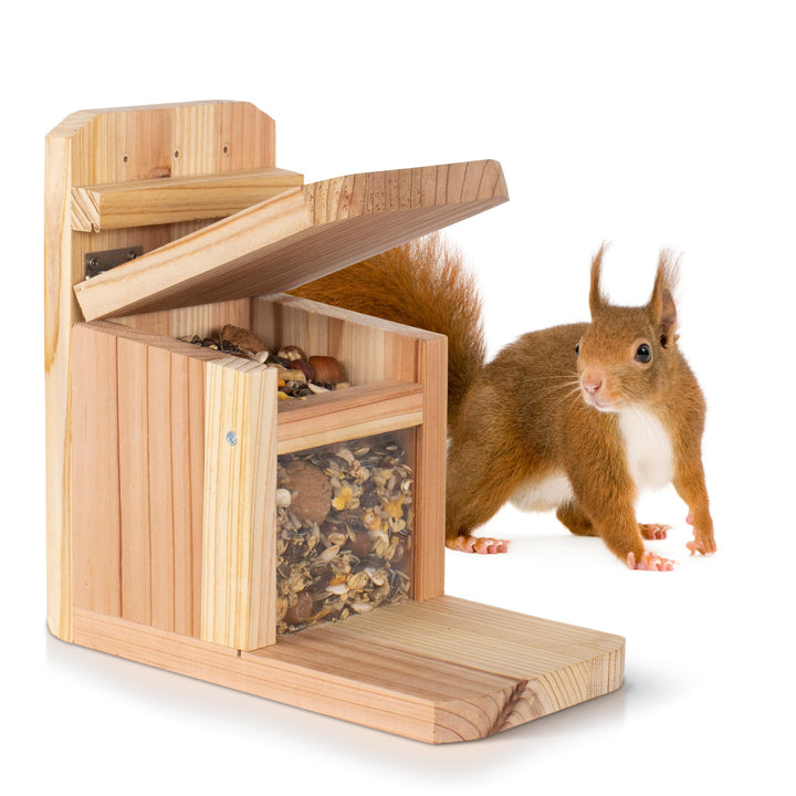Eichhörnchen Futterstation – Wetterfestes Futterhaus aus Holz mit Belüftung, sicherer Klappmechanism