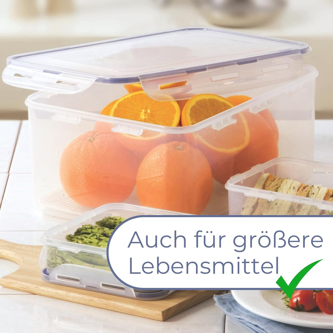 LocknLock PP Classic Vorratsdose mit Gitter, 3,9 L, 295 x 230 x 84 mm, 100 % luft- und wasserdicht,