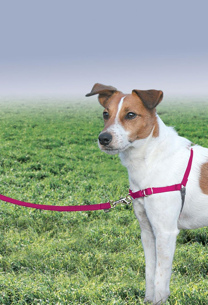 PetSafe Easy Walk Hundegeschirr. Himbeere/Grau Small/Medium, Himbeere/Grau Small/Medium