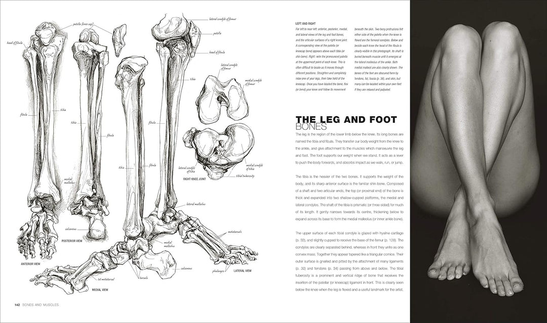Anatomy for the Artist, Gebundenes Buch