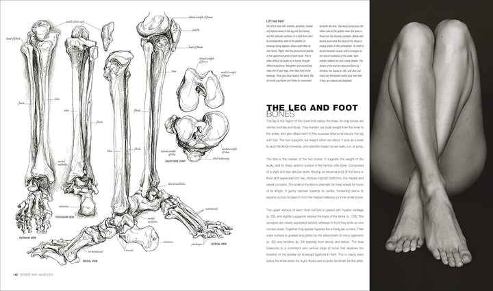 Anatomy for the Artist, Gebundenes Buch