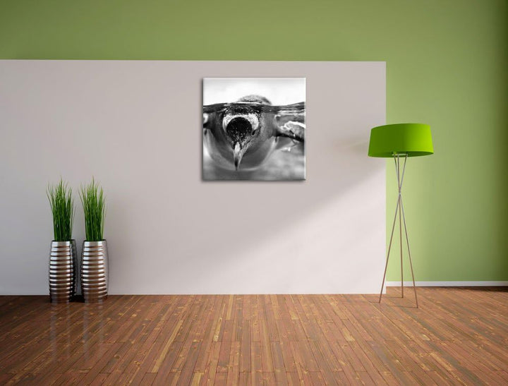 Pinguin im Wasser als Leinwandbild/Grösse: 70x70 cm/Wandbild/Kunstdruck/fertig bespannt, 70x70