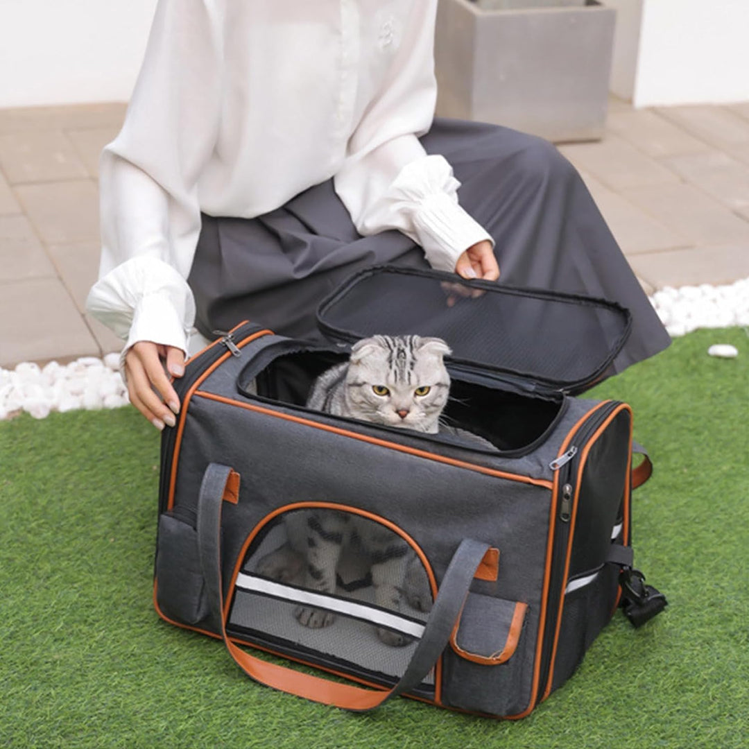 Transporttasche für Katze Hund bis zu 8kg, Faltbare Tragebox für Mittel Kleine Haustiere im Flugzeug