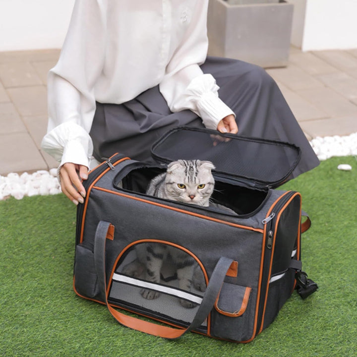 Transporttasche für Katze Hund bis zu 8kg, Faltbare Tragebox für Mittel Kleine Haustiere im Flugzeug