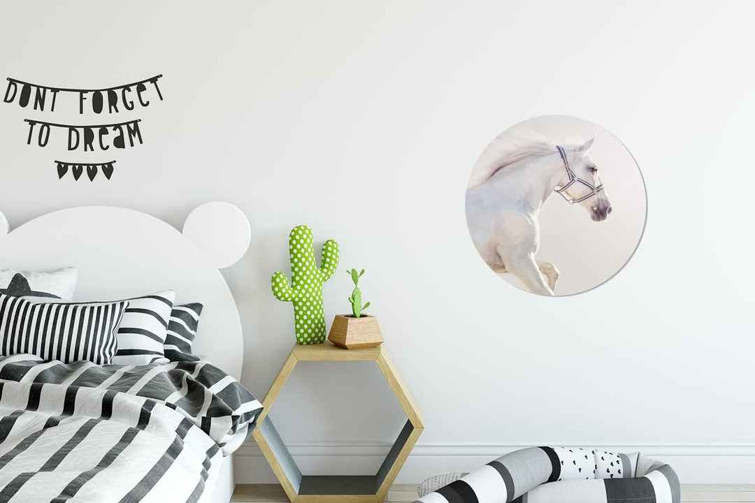 Wandbild Rund Wanddeko Deko Wohnzimmer Bilder 30x30 cm Pferd - Weiss - Mähne, 30x30 cm