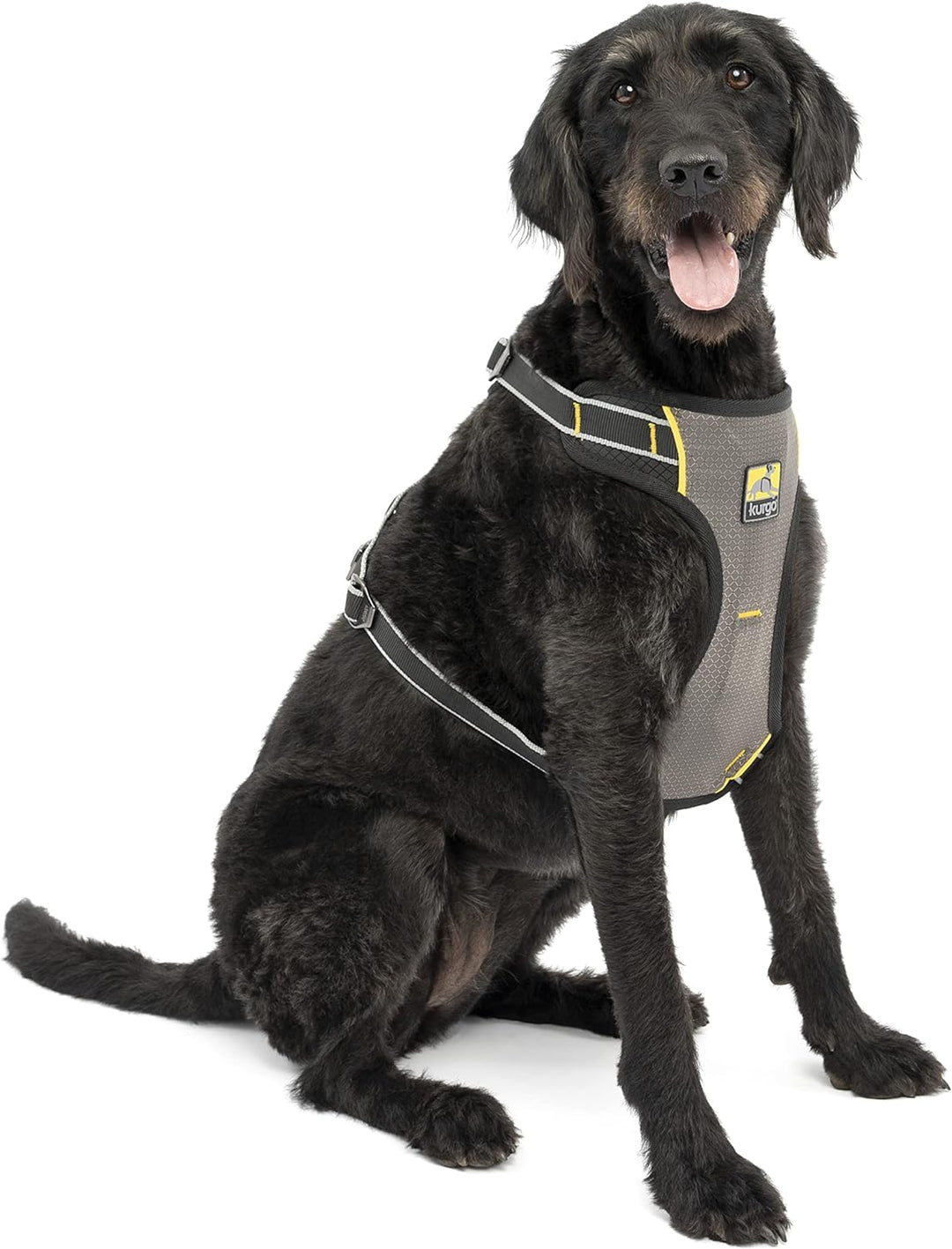 Kurgo Impact Hunde-Autogeschirr, Crashtest-geprüft für mehr Sicherheit, Für Hunde von 23-34 kg geeig