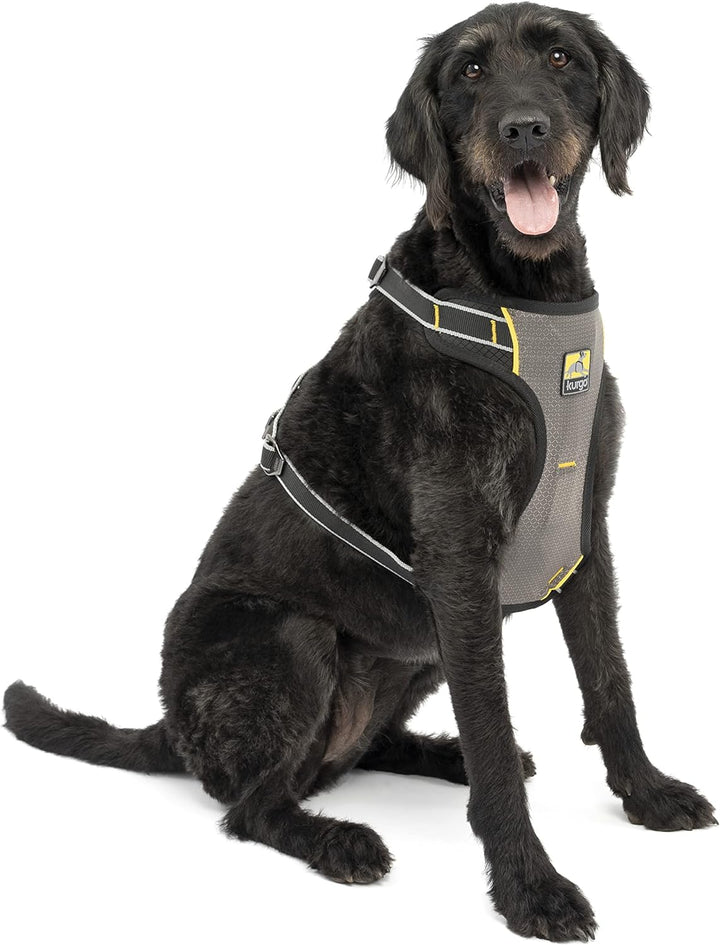 Kurgo Impact Hunde-Autogeschirr, Crashtest-geprüft für mehr Sicherheit, Für Hunde von 34-47 kg geeig