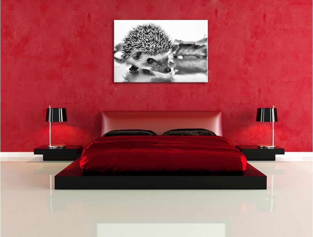 Monocrome, Süsser Igel , Format: 100x70 auf Leinwand, XXL riesige Bilder fertig gerahmt mit Keilrahm