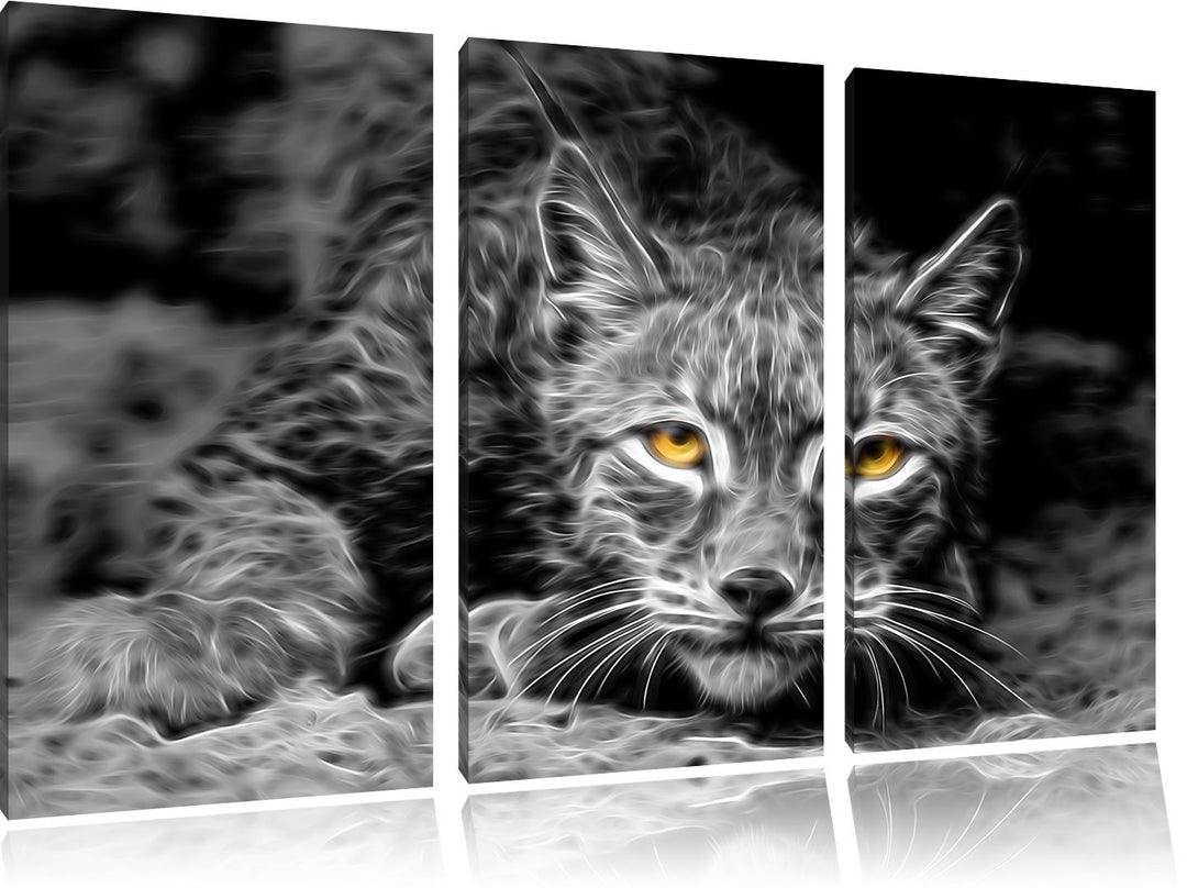 schöner wachsamer Luchs schwarz/weiss Deluxe 3-Teiler Leinwandbild 120x80 Bild auf Leinwand, XXL rie
