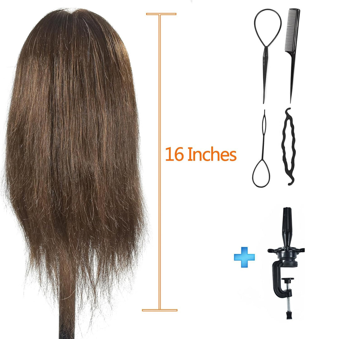 Schaufensterpuppe Kopf 16„-18“ Weiblich 100% Echthaar Friseurin Kosmetologie Schaufensterpuppe Manik