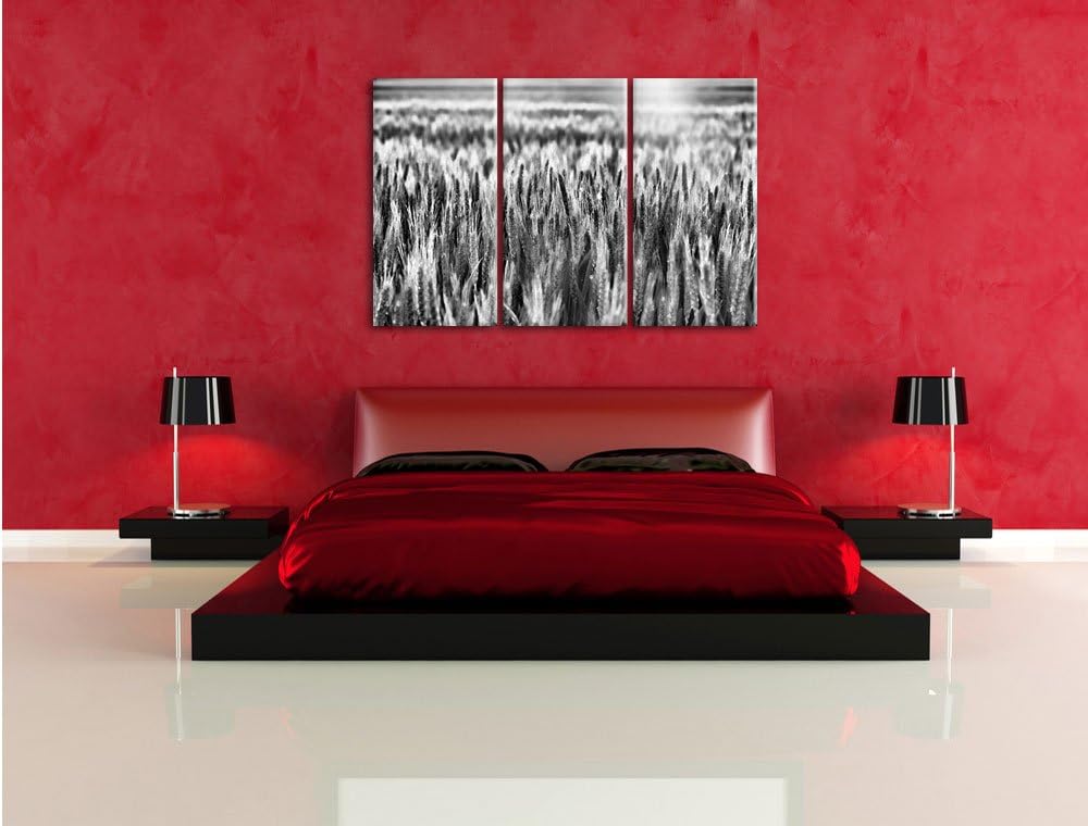Pixxprint Getreidefeld als Leinwandbild/Grösse: 3 Teilig (120x80) cm/Wandbild/Kunstdruck/fertig besp