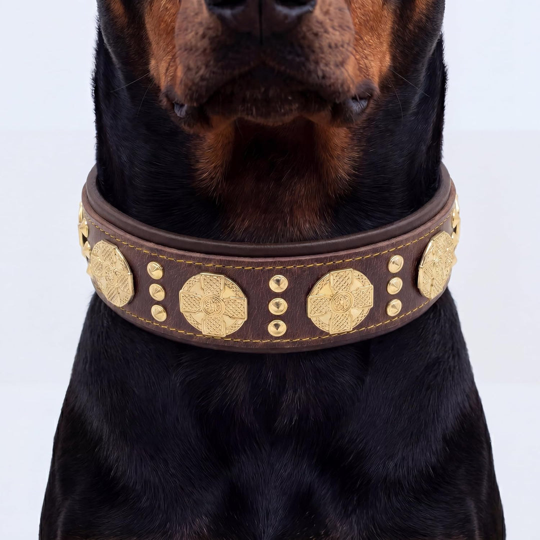 Bestia Maximus Hundehalsband, Echtleder, für grosse Rassen, Cane Corso, Rottweiler, Boxer, Bullmasti