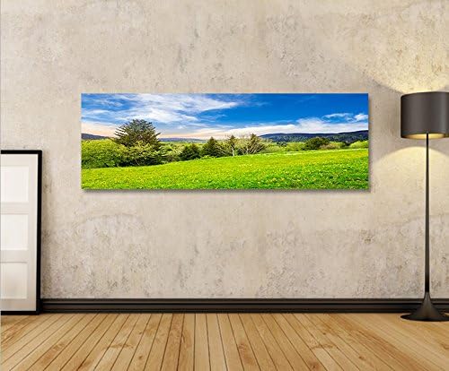 islandburner Bild Bilder auf Leinwand Wiese Bergwiese Landschaft Berge Panorama XXL Poster Leinwandb