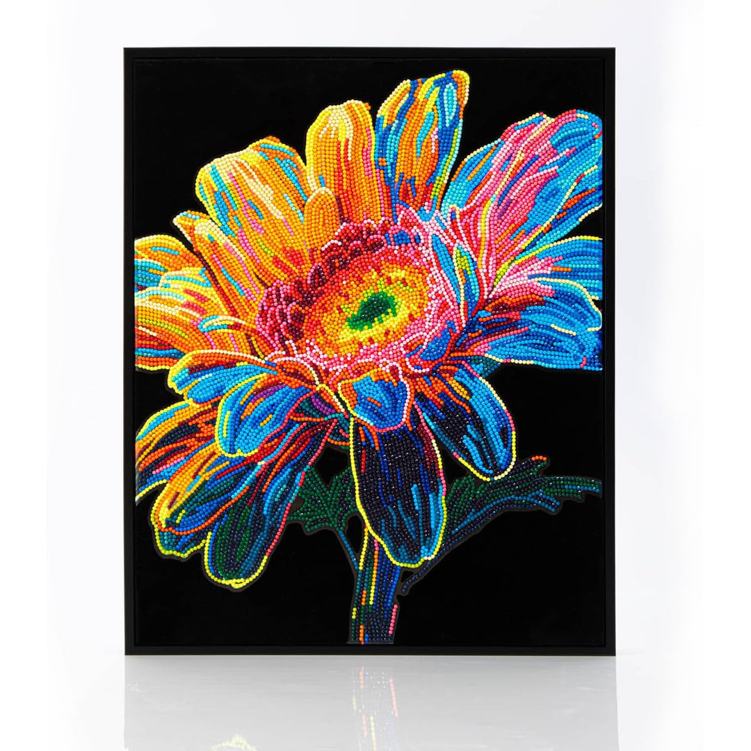 DIAMOND DOTZ 2594371 Original 5D Diamond Painting Set, Neon Gerbera, mit Neonfarben und Samt, DIY Di
