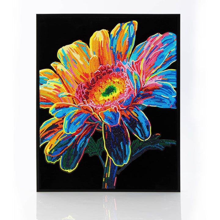 DIAMOND DOTZ 2594371 Original 5D Diamond Painting Set, Neon Gerbera, mit Neonfarben und Samt, DIY Di