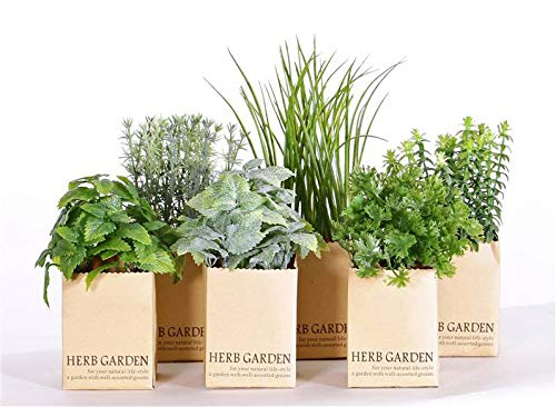 artplants.de Kunstpflanzen Kräutermix Chuck im Papiertopf, grün, 15-25cm - Kunstkräuter