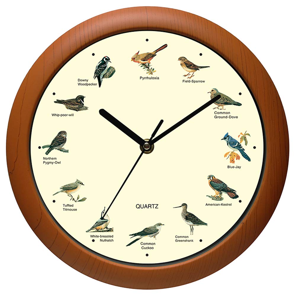 Belinlen Singender Vogel Wanduhr 30,5 cm der Vogel Namen und Lieder New 12 inch, New 12 inch