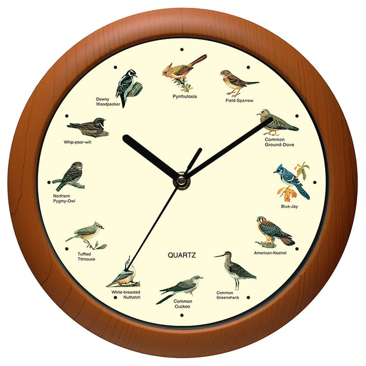 Belinlen Singender Vogel Wanduhr 30,5 cm der Vogel Namen und Lieder New 12 inch, New 12 inch