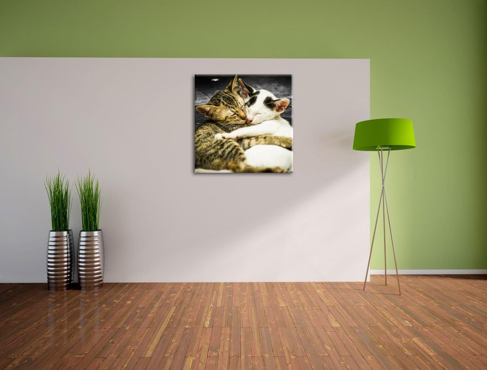 Pixxprint Liebende Kätzchen als Leinwandbild/Grösse: 70x70 cm/Wandbild/Kunstdruck/fertig bespannt, 7