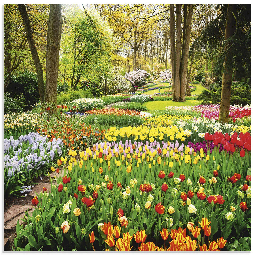 Glasbilder Wandbild Glas Bild einteilig 50x50 cm Quadratisch Blumenwiese Tulpen Blumen Frühling Natu