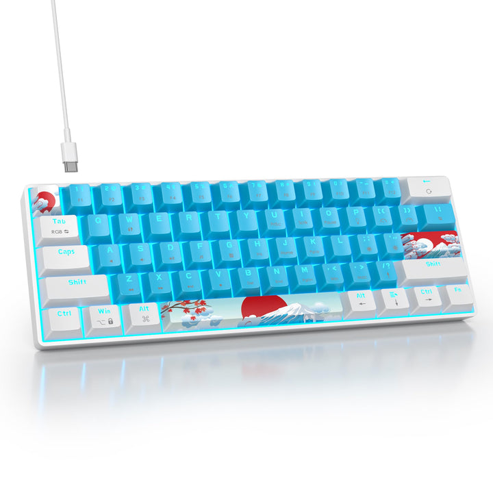Gaming Tastatur 60 Prozent, Wired RGB Mechanische Tastatur America QWERTY, Mini 61 Tasten USB Tastat