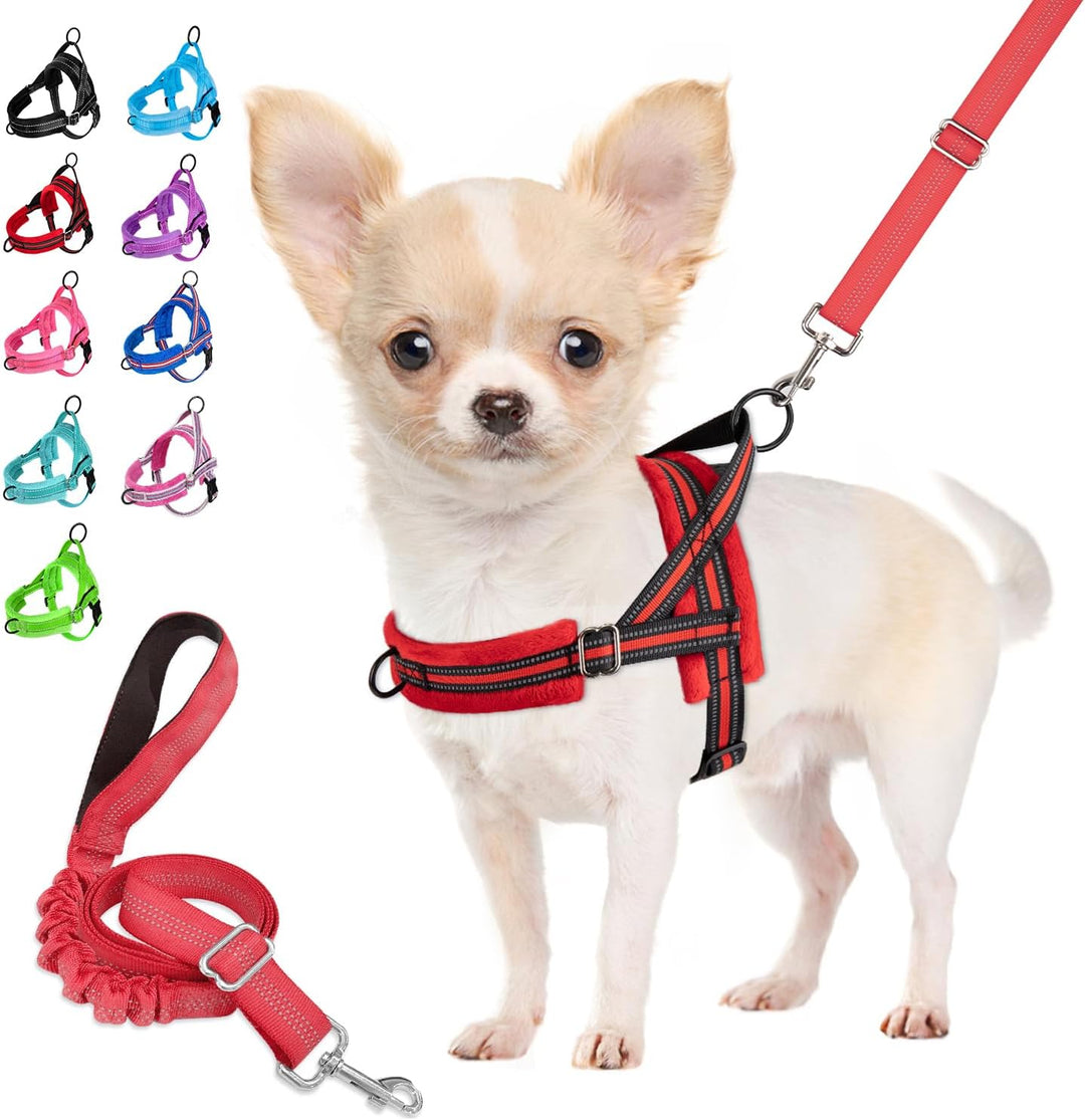 Eyein No-Pull Hundegeschirr mit Leine, Geschirr mit Weich Gepolstertes, Reflektierend, Verstellbares