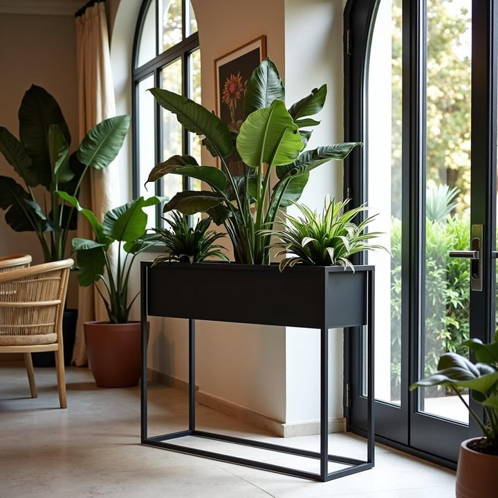 Pflanzenständer Petto - 80x21x60cm - Farbe Schwarz - für Zimmerblumen - Metallregal - Dekorativer Ti