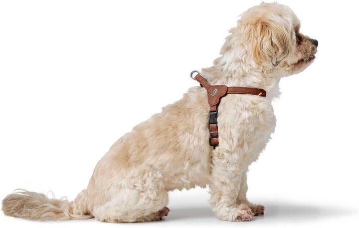 Hunter Hundegeschirr SOHO MINI, Farbe: Cognac, Rindsleder, weich & geschmeidig, fellschonend, leicht