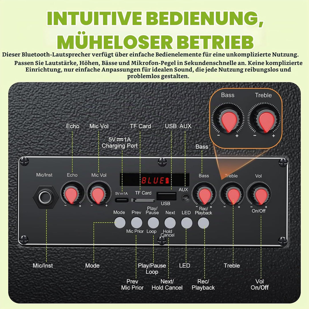 Grosser Bluetooth-Karaoke-Lautsprecher mit 2 drahtlosen Mikrofonen, 11-Lautsprechersystem mit 8800-m