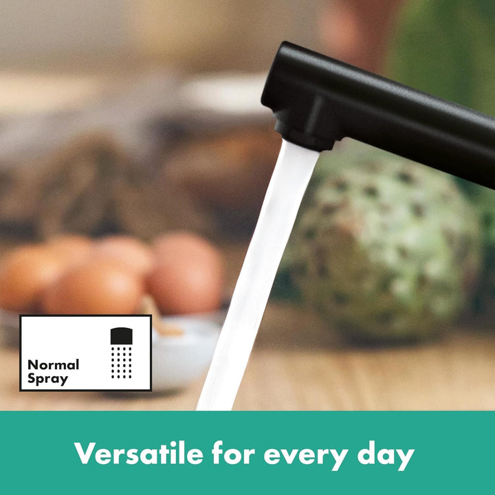 hansgrohe Küchenarmatur Zesis M33, Wasserhahn Küche mit Auslauf Höhe 150 mm, einstellbar in 3 Stufen