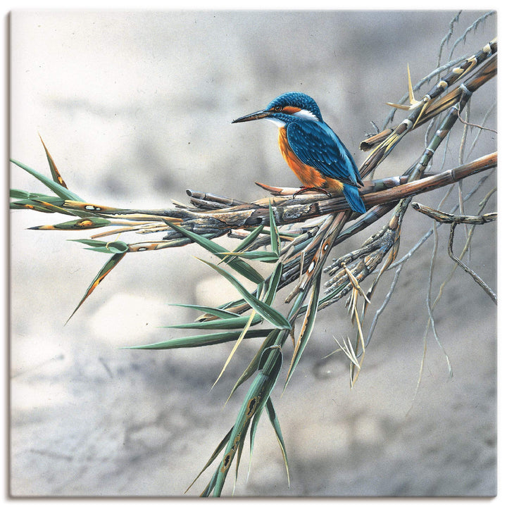 ARTland Leinwandbilder Wandbild Bild auf Leinwand 50x50 cm Wanddeko Eisvogel Tiere Vögel Natur Lands