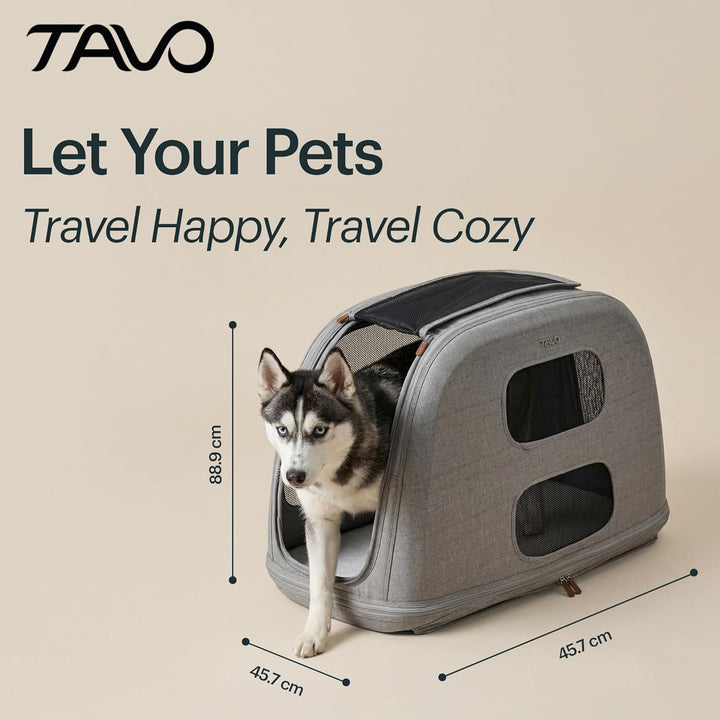 Tavo Crispin Haustier-Transportbox Large – Crash-getestete Auto-Transportbox für Hunde & Katzen, ISO