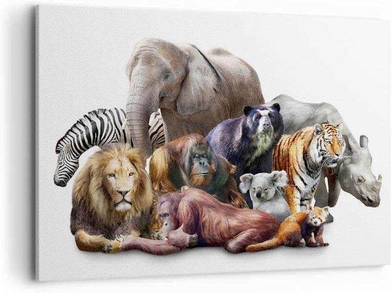 ARTTOR Bilder auf Leinwand 100x70cm Leinwandbild Tiere Koala Löwe Affe Gross Wanddeko Bild Schlafzim
