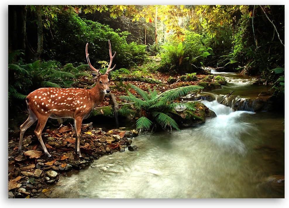 Bilder Hirsch Wald Landschaft XXL 90x60 cm 1Teilig Wohnzimmer Schlafzimmer Modern Wandbilder Vlies L