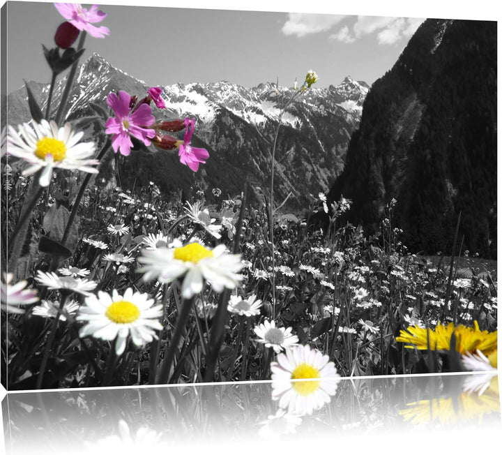 Pixxprint schöne Blumenwiese 100x70cm Leinwandbild Wandbild Kunstdruck, 100x70