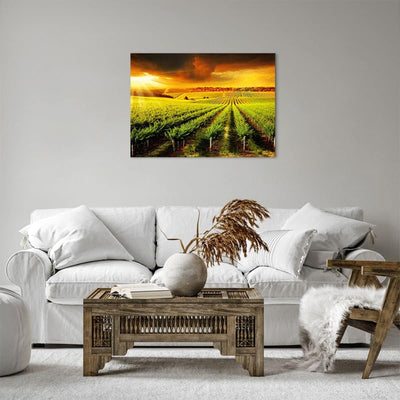 ARTTOR Bilder auf Leinwand Land Weingut Pflanzung Leinwandbild 70x50cm Wandbilder Dekoration Wohnzim