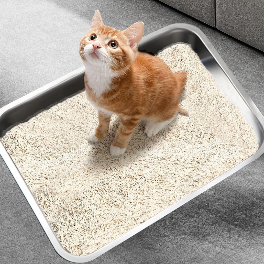 XXL Katzenklo 50 * 35 * 15CM Katzentoilette Edeltsahl Katzentoilette Gross, offenes Katzenklo für Ei