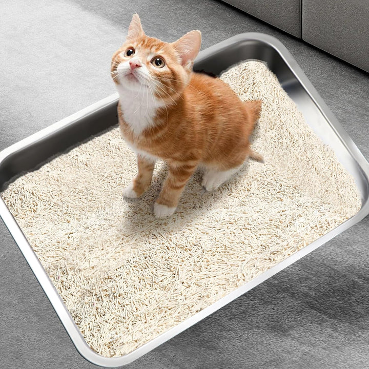 XXL Katzenklo 50 * 35 * 15CM Katzentoilette Edeltsahl Katzentoilette Gross, offenes Katzenklo für Ei