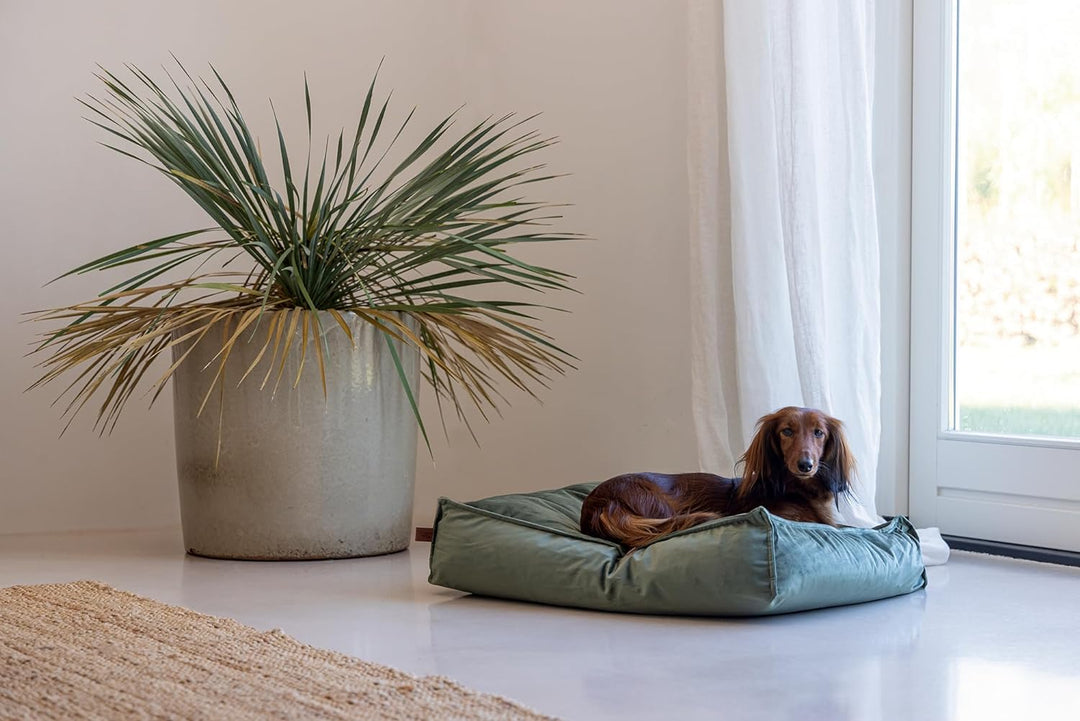 DBL REST CUSH NALINO DOG GREEN Grün 70X55X15 cm, Grün 70X55X15 cm
