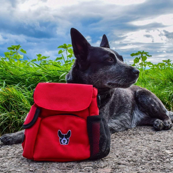Hundefreund Futtertasche | Kleine Damen Handtasche für Leckerlis und Hundespielzeug | Leckerlitasche