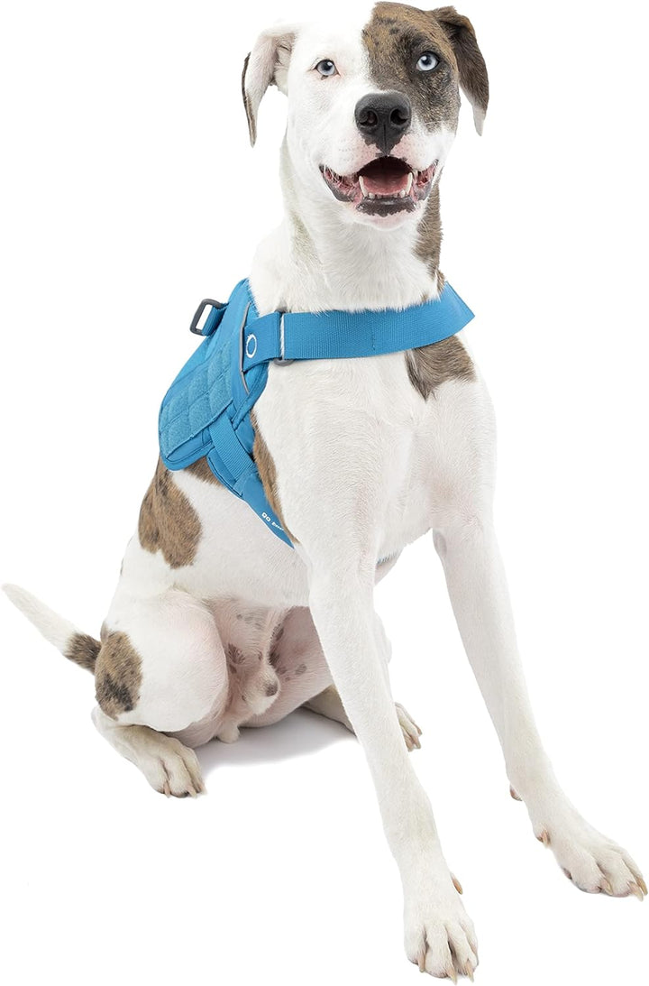 Kurgo RSG Townie Hundegeschirr, Einfaches Anlegen und Abnehmen, Einstellbare Brust- und Bauchgurte,
