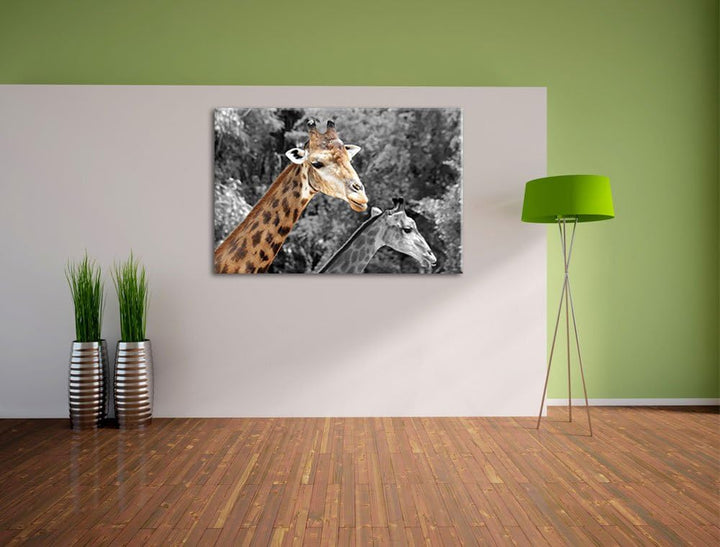 zwei schöne Giraffen schwarz/weiss Format: 100x70 auf Leinwand, XXL riesige Bilder fertig gerahmt mi
